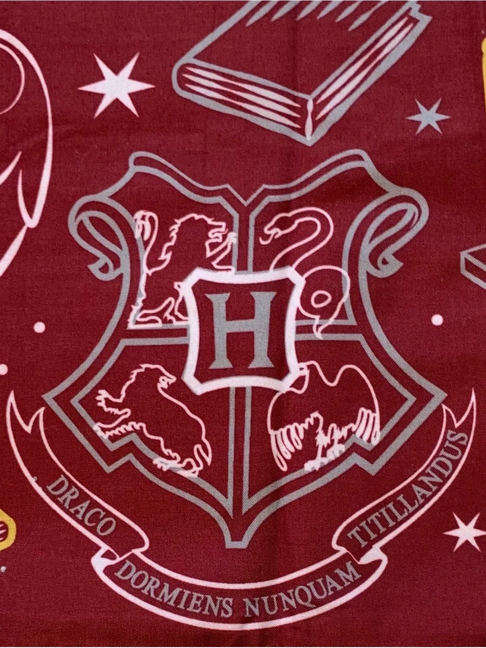 Harry Potter Hogwarts & Platform  9 3/4 Reversible Pillowcases set of 6